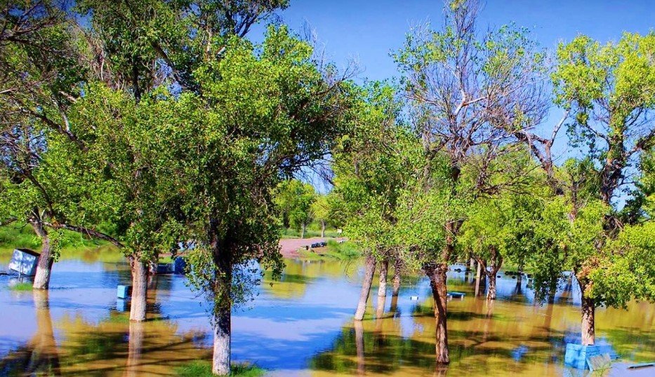 Parque del DIF Ojinaga